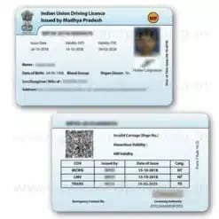 Driving License PVC Print